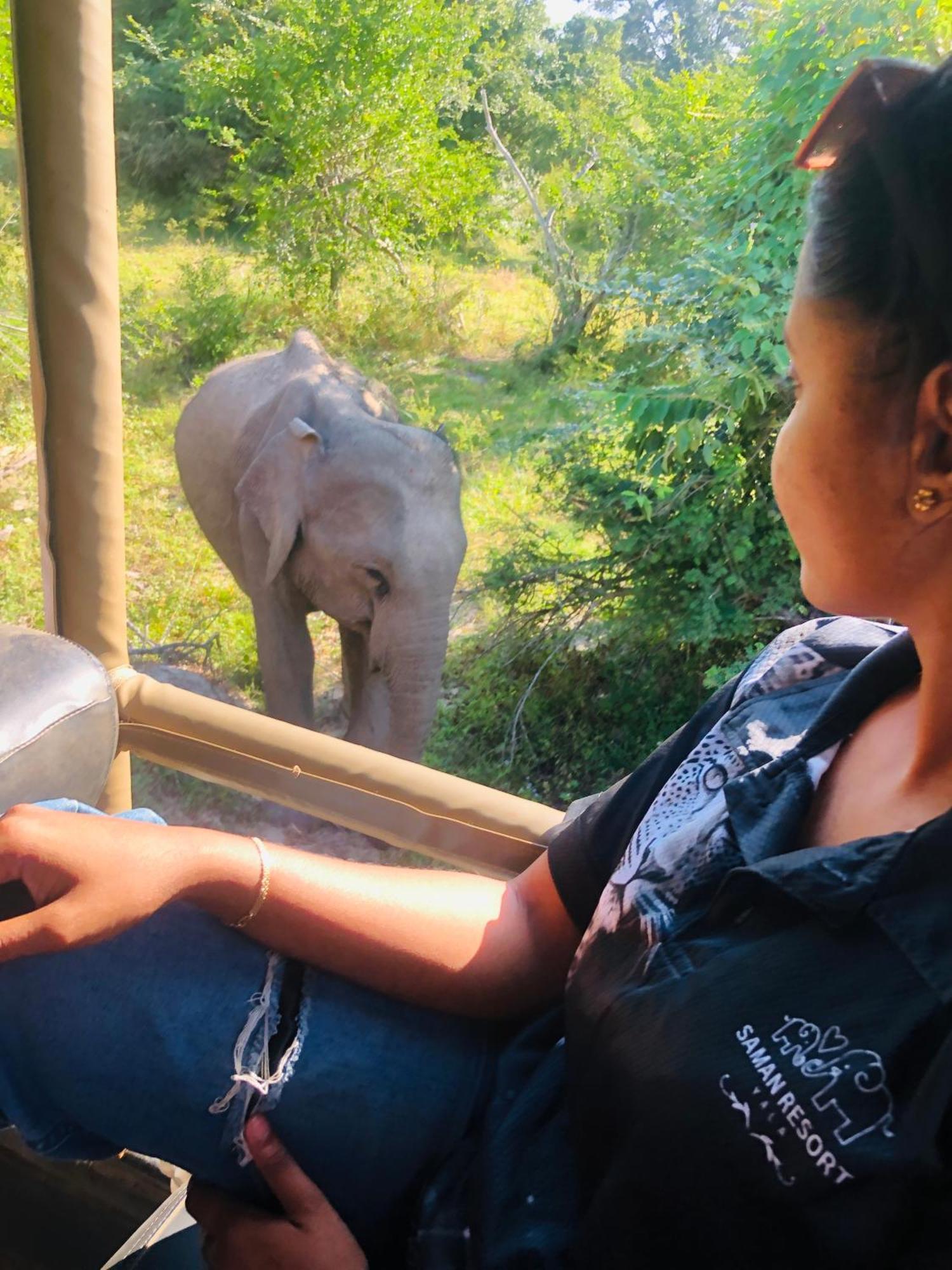 Saman Resort Yala ティッサマハーラーマ エクステリア 写真