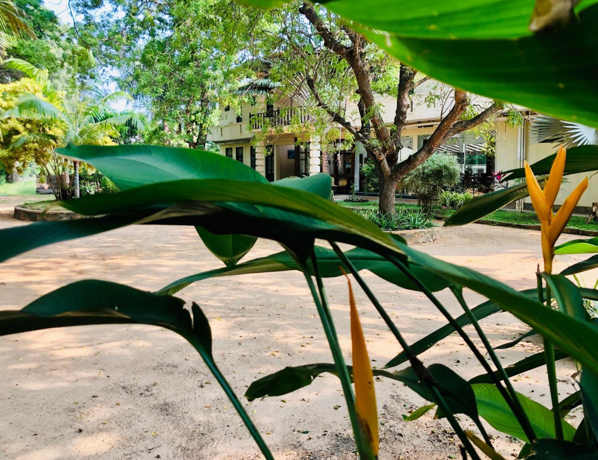 Saman Resort Yala ティッサマハーラーマ エクステリア 写真